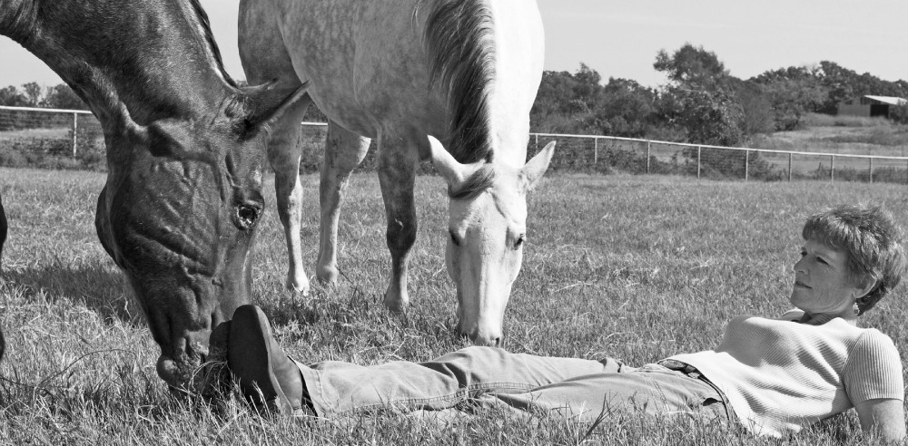 leadership horse
