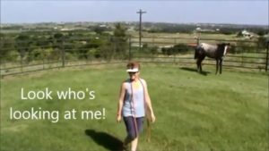 introduce horse to round pen