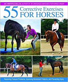 corrective exercises for horses