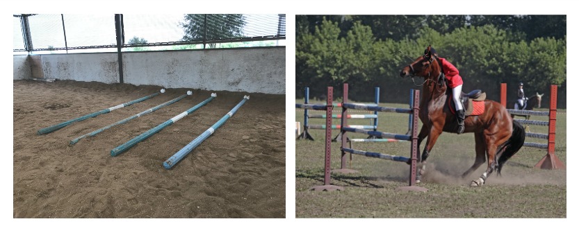 11 Benefits to Using Walk Poles with Horses