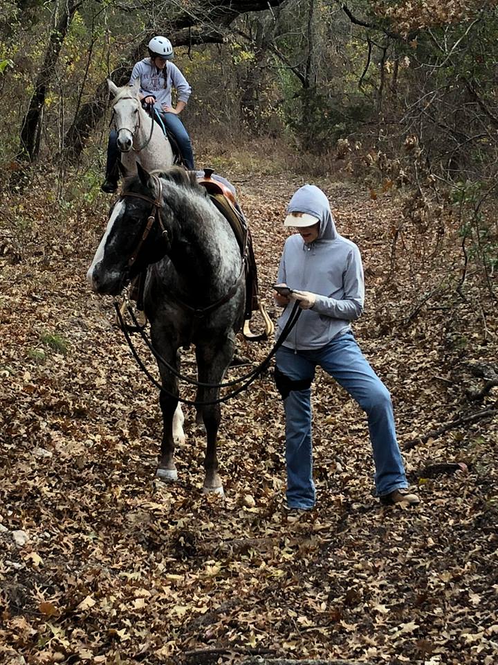 your spooky horse or one who refuses to move may not be afraid