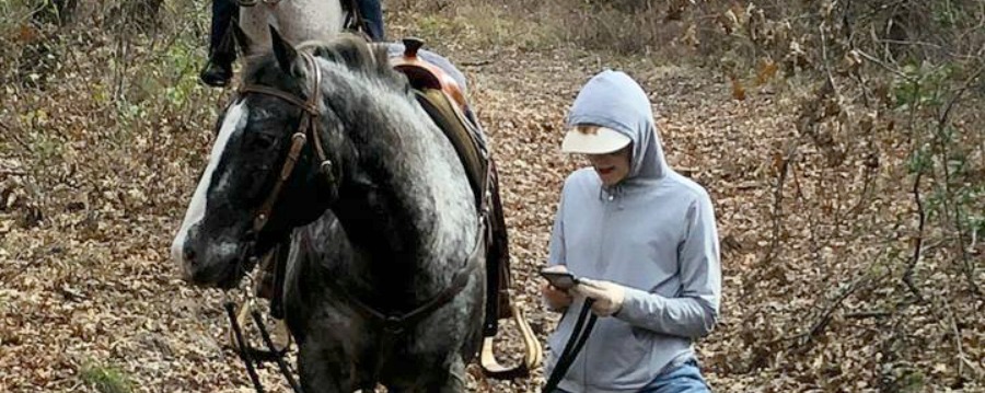 your spooky horse or one that refuses to move may not be afraid