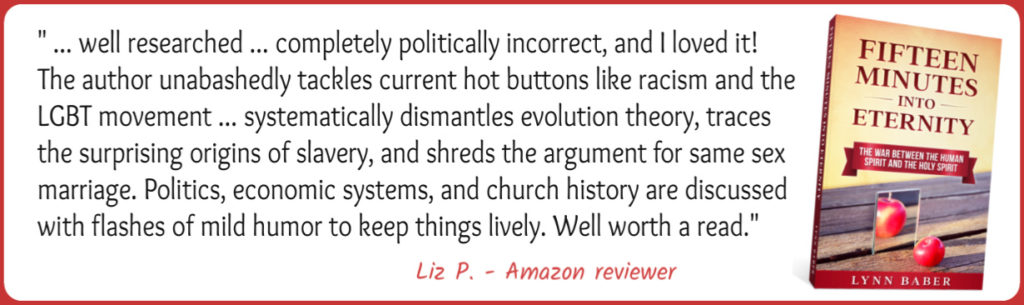Book cover of "Fifteen Minutes into Eternity - The War Between the Human Spirit and the Holy Spirit" with a descriptive review from an Amazon reader.