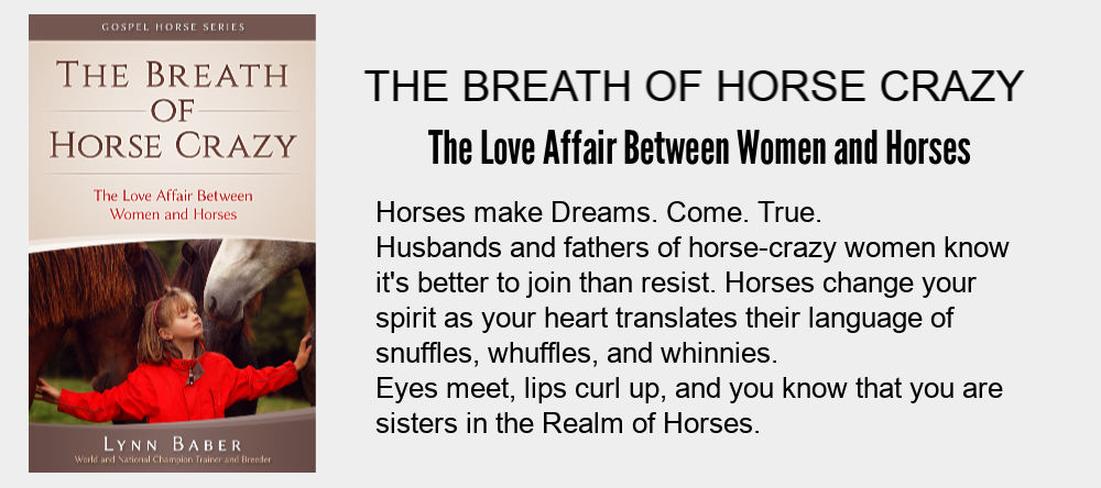 Book cover and description of The Breath of Horse Crazy - The Love Affair Between Women and Horses. Little girl in red jacket touching two horse with arms wide and eyes closed.