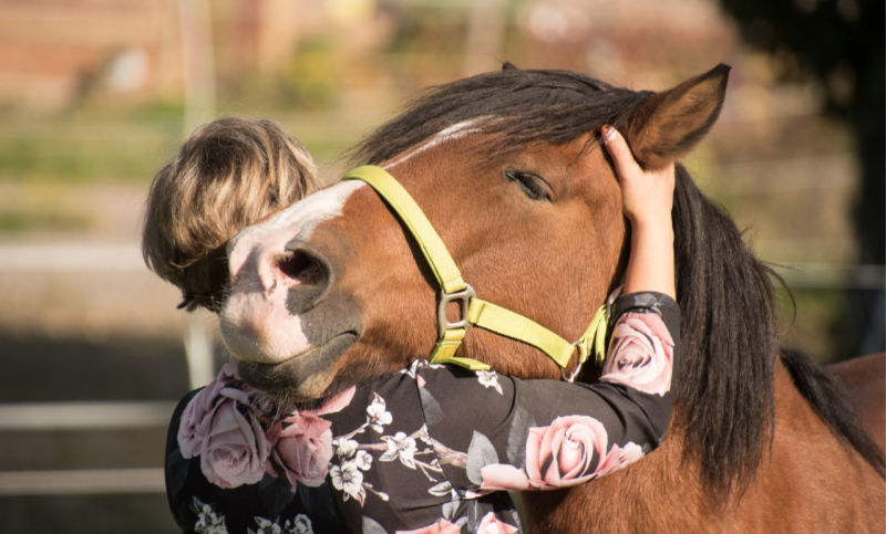 Woman hugging horse with mutual affection. Use these 7 Simple Rules to be successful with horses and create the relationship you dream of.