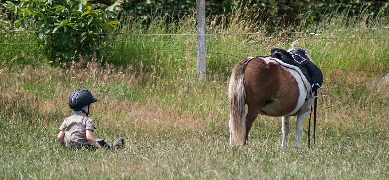 communication with horse pony grazing while little boy sits in grass after leaving the saddle