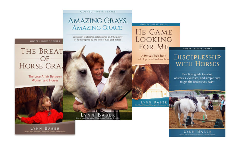 Book covers from all four volumes in the Gospel Horse Series for people pursuing amazing relationship with God, horses, and one another.