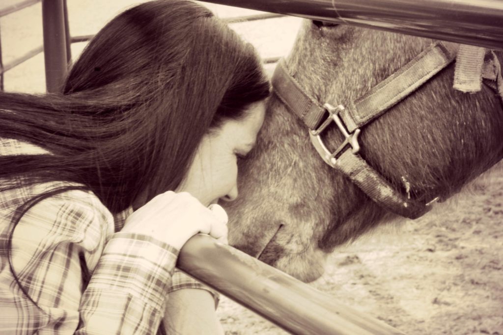 woman touching faces with horse . reset your relationship with your horse