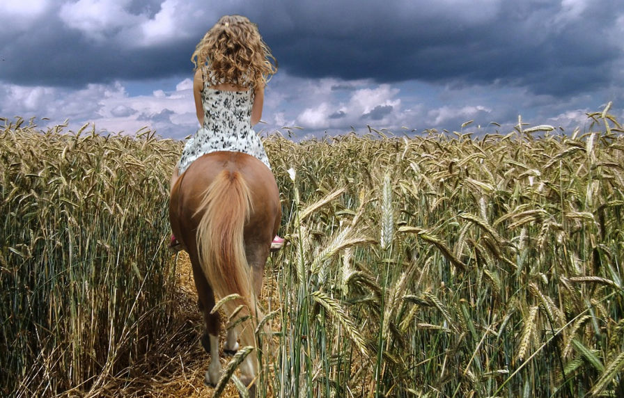 Young lady on horseback in mature field. Illustrates article on 10 ways to transform criticism into encouragement.