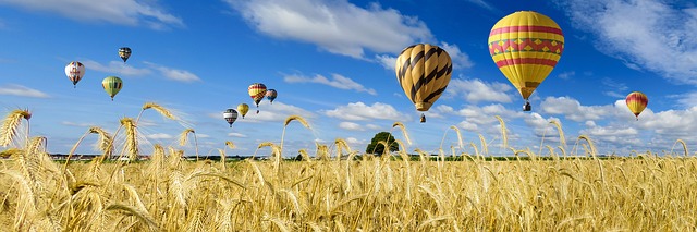 Beautiful hot air balloons flying above a golden field.