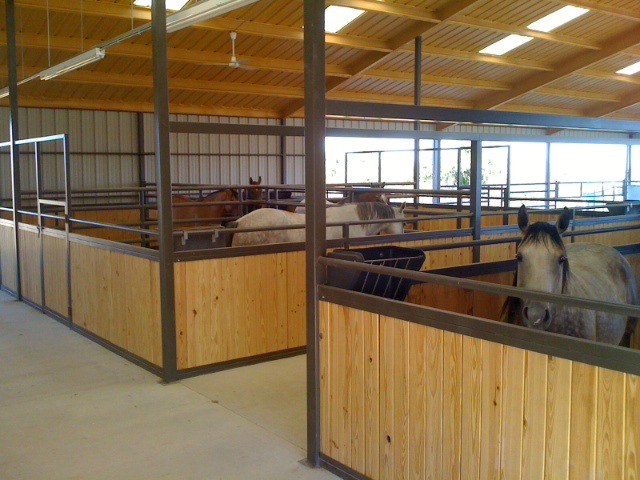Barndominium with horse stalls, high ceilings, and gorgeous setup. Benefits. Lifestyle.