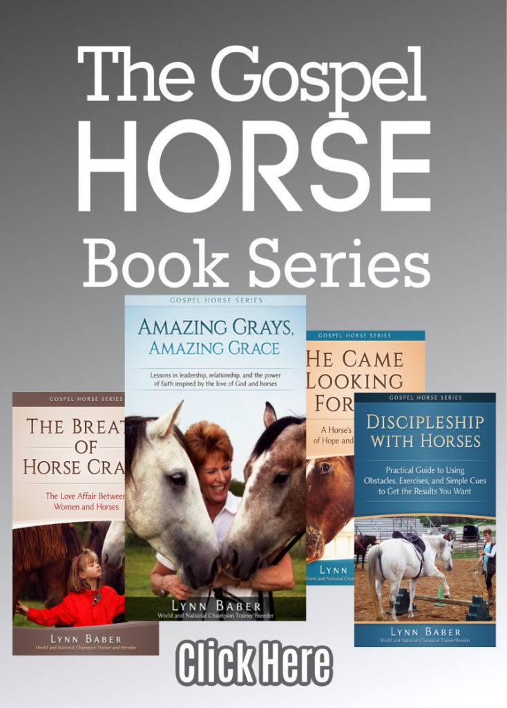 cover images of the four books in the Gospel Horse Series. Training through relationship using simple gospel prinicples.