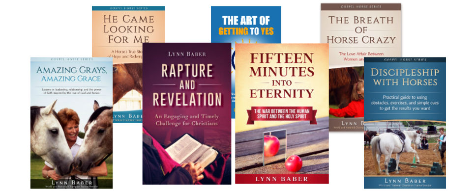 images of all book covers by Christian author Lynn Baber