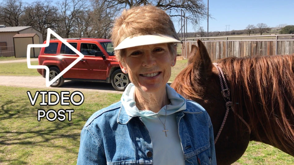 Woman and chestnut horse offering a video post teaching an easy and safe way to pick up a horse's hooves.