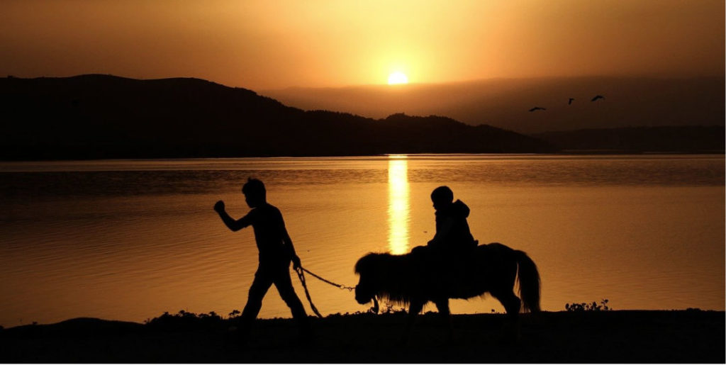 Sunset silhouette of a child leading another child on a small pony, a ray of fading sunlight on the lake water behind them. Do Children and Horses Mirror Your Mistakes?