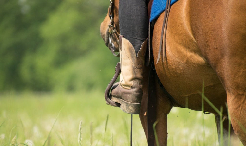 Sorrel horse from the rear showing rider's left leg and boot